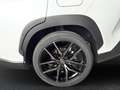 Toyota Corolla Cross 2,0 GR SPORT 2WD Weiß - thumbnail 20