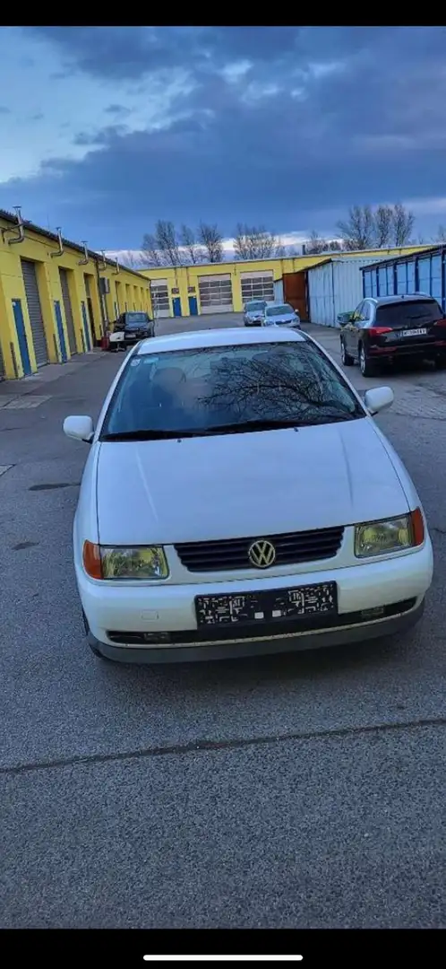 Volkswagen Polo Mc - 1