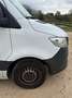 Mercedes-Benz Sprinter 317 CDI Sprinter Tourer Standard HA 9G-TRONIC Weiß - thumbnail 6