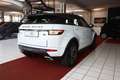 Land Rover Range Rover Evoque SE Landmark PANORAMA+AHK Weiß - thumbnail 8