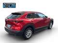 Mazda CX-30 G122 Comfort+ sound/style Rosso - thumbnail 6