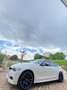 BMW 316 316d Msport Bianco - thumbnail 4
