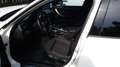 BMW 316 316d Msport Bianco - thumbnail 12
