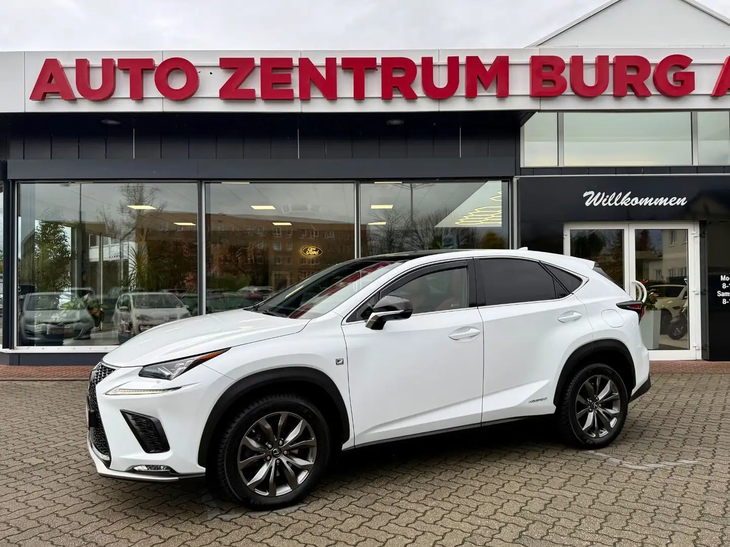 Lexus NX 300 H Leder AHK Panorama HUD Weiß - 1