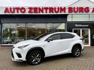 H Leder AHK Panorama HUD