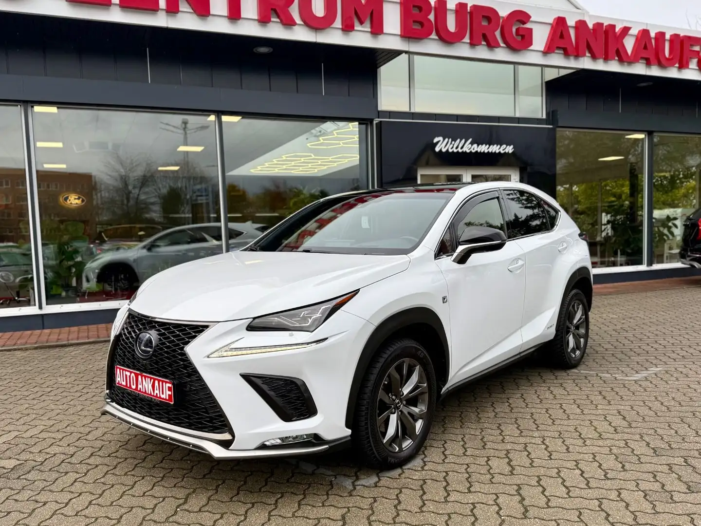 Lexus NX 300 H Leder AHK Panorama HUD Weiß - 2