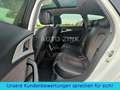 Audi A6 Avant 3.0 TDI Quattro* LUFT* 2.Hand* Matrix* Blanco - thumbnail 12