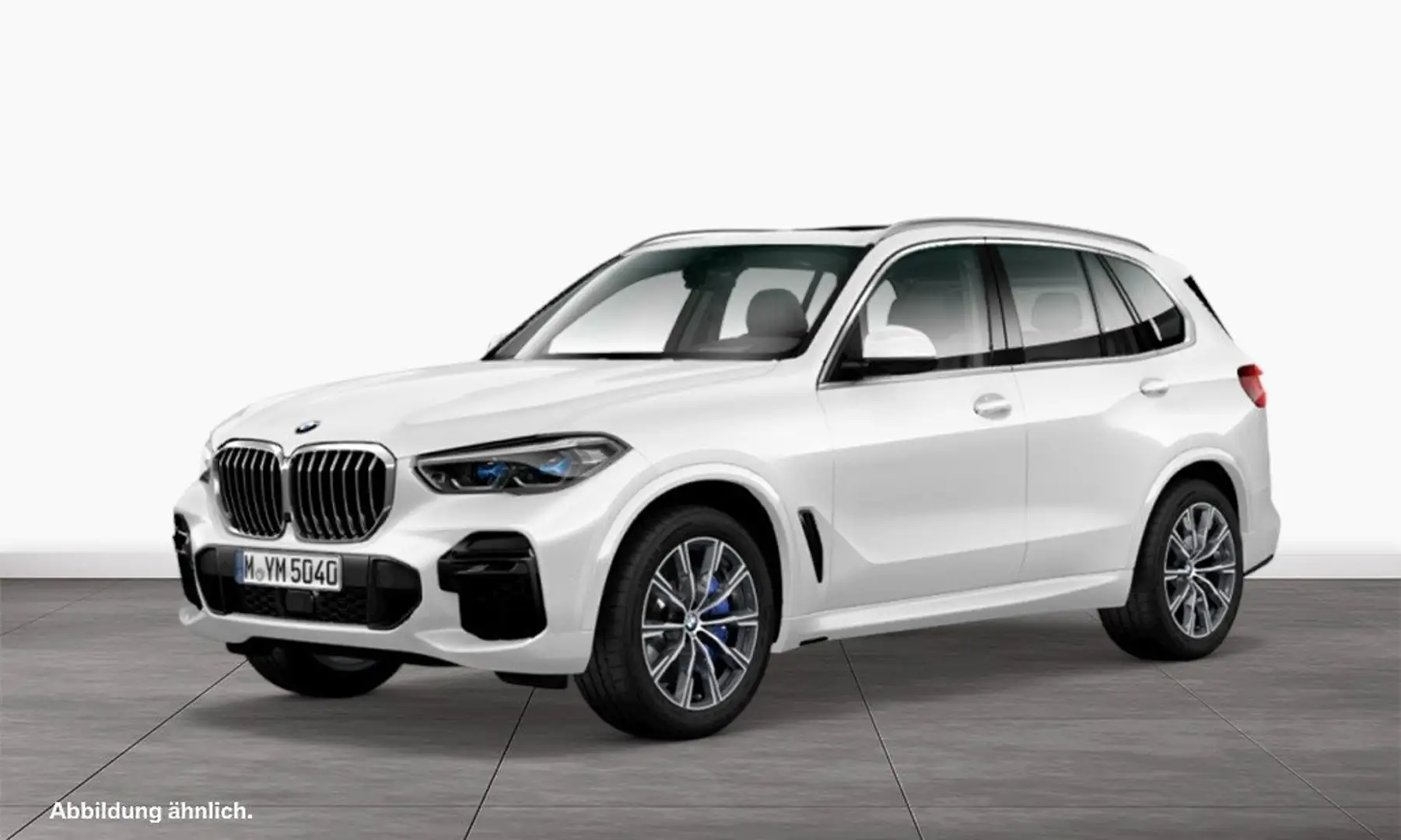BMW X5 xDrive30d M Sportpaket Head-Up HiFi DAB WLAN Weiß - 1