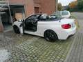 BMW 230 230i Cabrio Aut. M Sport - thumbnail 4