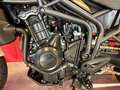 Triumph Tiger 800 | GARANTIE Blanco - thumbnail 16