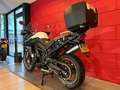 Triumph Tiger 800 | GARANTIE Blanco - thumbnail 6