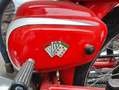 Moto Morini 175 Tresette Sprint Red - thumbnail 5