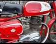 Moto Morini 175 Tresette Sprint Red - thumbnail 3