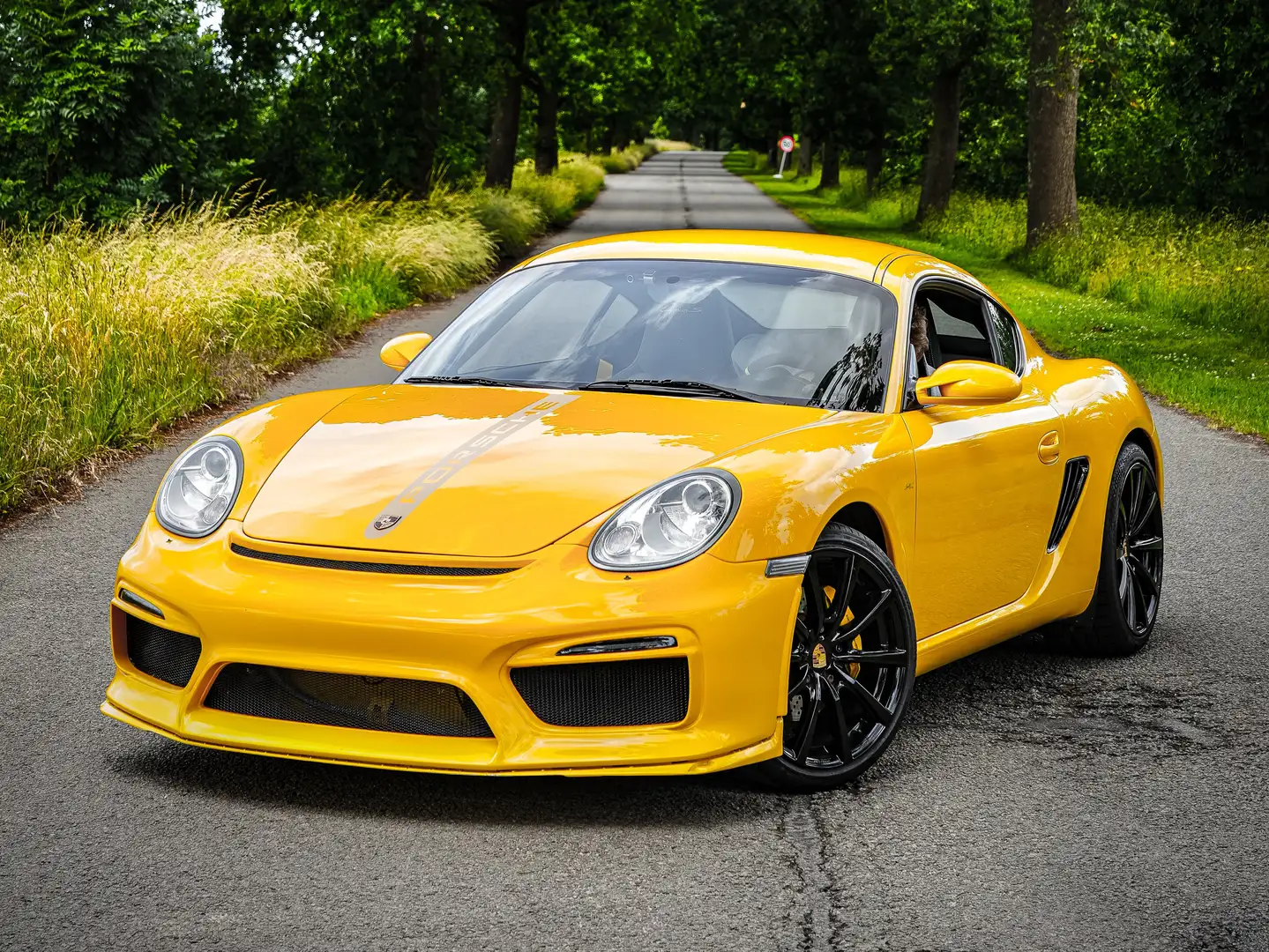Porsche Cayman Cayman S Jaune - 1