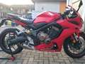 Honda CBR 650 r abs Rosso - thumbnail 2
