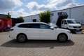 Volkswagen Passat Variant 1.5 eTSI Elegance/Leder/Matri/360 Weiß - thumbnail 6