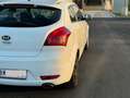 Kia ProCeed / pro_cee'd pro cee'd 1,6 CRDi Cool DPF ISG **PİCKERL 06/2027* - thumbnail 8