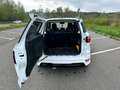 Ford EcoSport 1.0 EcoBoost ST-LINE Weiß - thumbnail 6