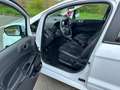 Ford EcoSport 1.0 EcoBoost ST-LINE Weiß - thumbnail 9