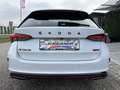 Skoda Octavia Combi 2,0 TDI RS DSG/AHK/RFK/PANO/SHZ/MATRIX-LE... Blanc - thumbnail 17