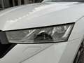 Skoda Octavia Combi 2,0 TDI RS DSG/AHK/RFK/PANO/SHZ/MATRIX-LE... Blanc - thumbnail 13
