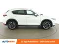 Mazda CX-5 2.5 Takumi Plus AWD Aut. *LED*HUD*ACC*SPUR*TOT*360 Белый - thumbnail 7