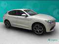 Alfa Romeo Stelvio 2.2 Turbo Veloce Gris - thumbnail 8