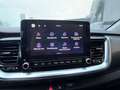 Kia Stonic 1.2 Benzina 79cv STYLE SPECIALE EDITION Aziendale Argento - thumbnail 13