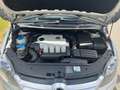 Volkswagen Golf Plus 1.9 TDI Edition srebrna - thumbnail 14
