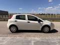 Fiat Punto 1,2 69 Nuova Collezione  *1.BESITZ* / *KLIMA* Weiß - thumbnail 9