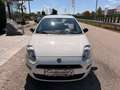 Fiat Punto 1,2 69 Nuova Collezione  *1.BESITZ* / *KLIMA* Weiß - thumbnail 3