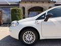Fiat Punto 1,2 69 Nuova Collezione  *1.BESITZ* / *KLIMA* Weiß - thumbnail 12