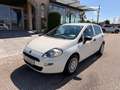Fiat Punto 1,2 69 Nuova Collezione  *1.BESITZ* / *KLIMA* Weiß - thumbnail 2
