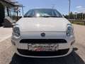 Fiat Punto 1,2 69 Nuova Collezione  *1.BESITZ* / *KLIMA* Weiß - thumbnail 10