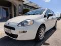 Fiat Punto 1,2 69 Nuova Collezione  *1.BESITZ* / *KLIMA* Weiß - thumbnail 11