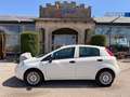 Fiat Punto 1,2 69 Nuova Collezione  *1.BESITZ* / *KLIMA* Weiß - thumbnail 5