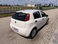 Fiat Punto 1,2 69 Nuova Collezione  *1.BESITZ* / *KLIMA* Weiß - thumbnail 8