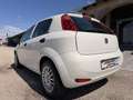 Fiat Punto 1,2 69 Nuova Collezione  *1.BESITZ* / *KLIMA* Weiß - thumbnail 14