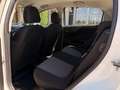 Fiat Punto 1,2 69 Nuova Collezione  *1.BESITZ* / *KLIMA* Weiß - thumbnail 20
