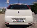 Fiat Punto 1,2 69 Nuova Collezione  *1.BESITZ* / *KLIMA* Weiß - thumbnail 13