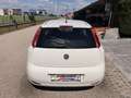 Fiat Punto 1,2 69 Nuova Collezione  *1.BESITZ* / *KLIMA* Weiß - thumbnail 7