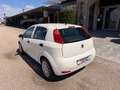 Fiat Punto 1,2 69 Nuova Collezione  *1.BESITZ* / *KLIMA* Weiß - thumbnail 6