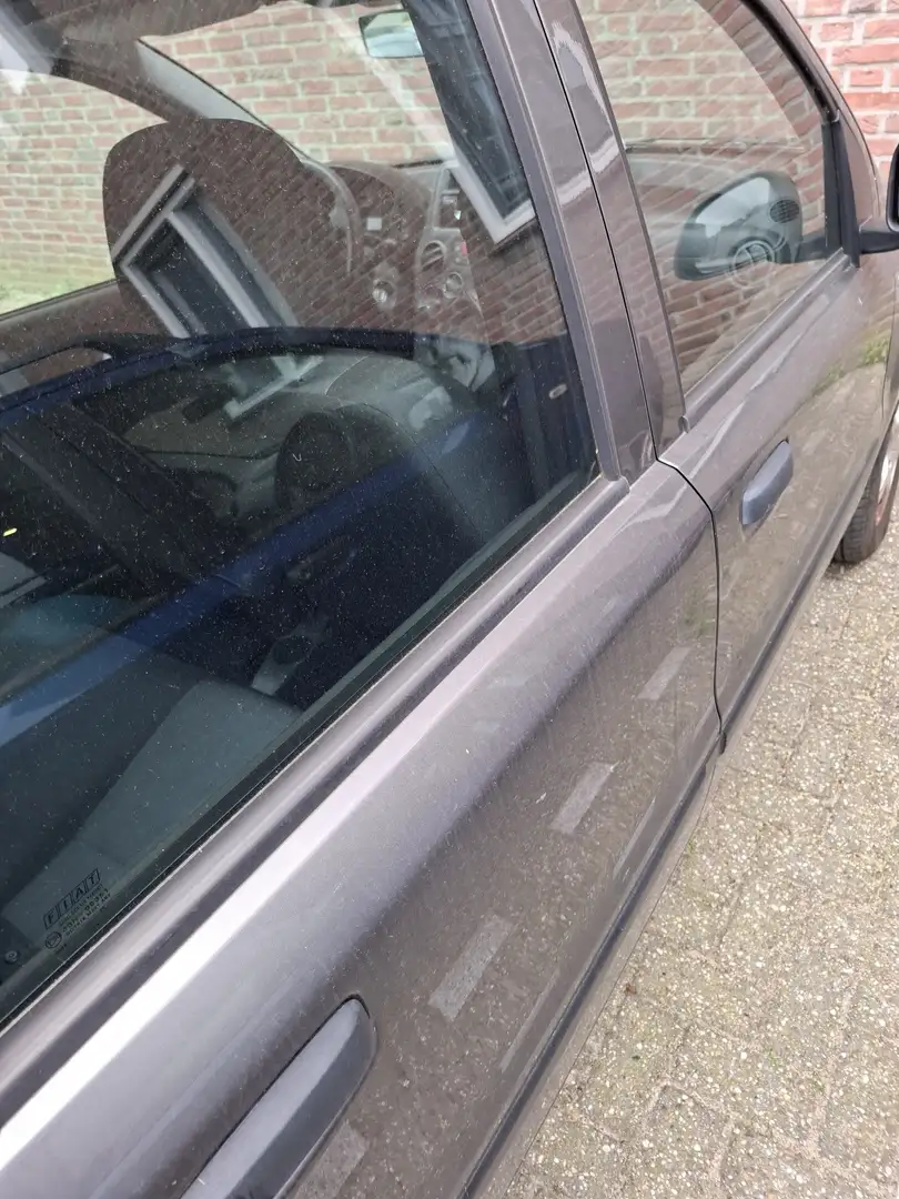 Fiat Panda Panda 1.2 Edizione Cool Gris - 2
