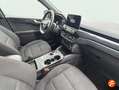 Ford Kuga 2.0 EcoBlue ST-Line FWD 120 Aut. Gris - thumbnail 13