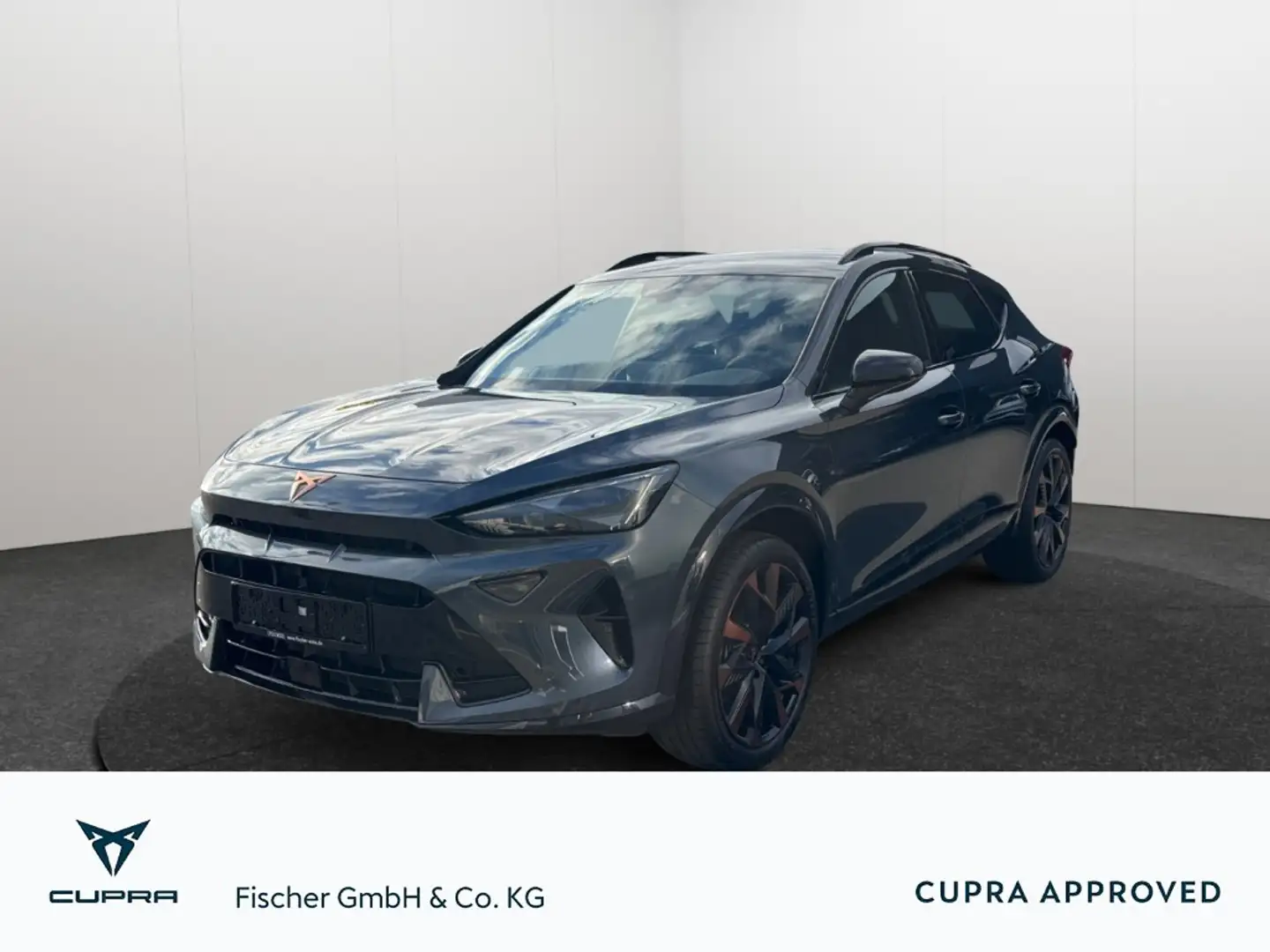 CUPRA Formentor 1.5eTSI DSG Matrix Navi Rear View ACC Sennheiser Grigio - 1