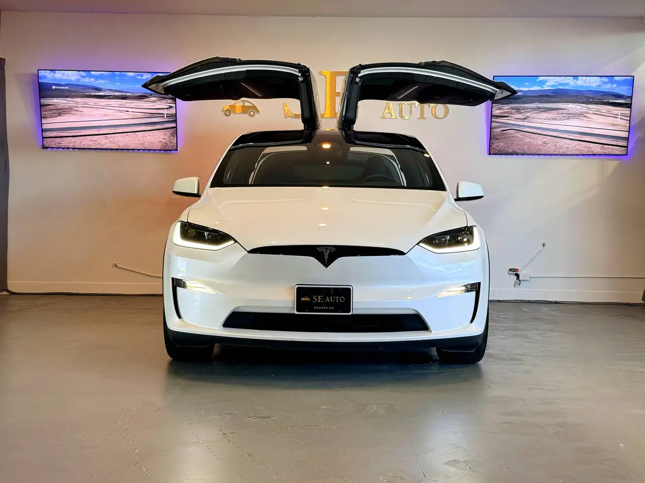 Tesla Model X photo Tesla Model X