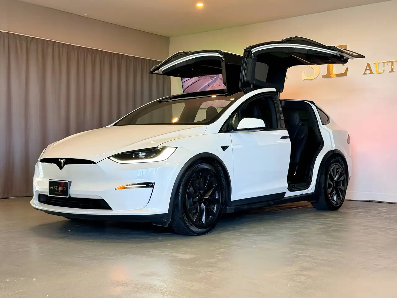 Tesla Model X photo Tesla Model X