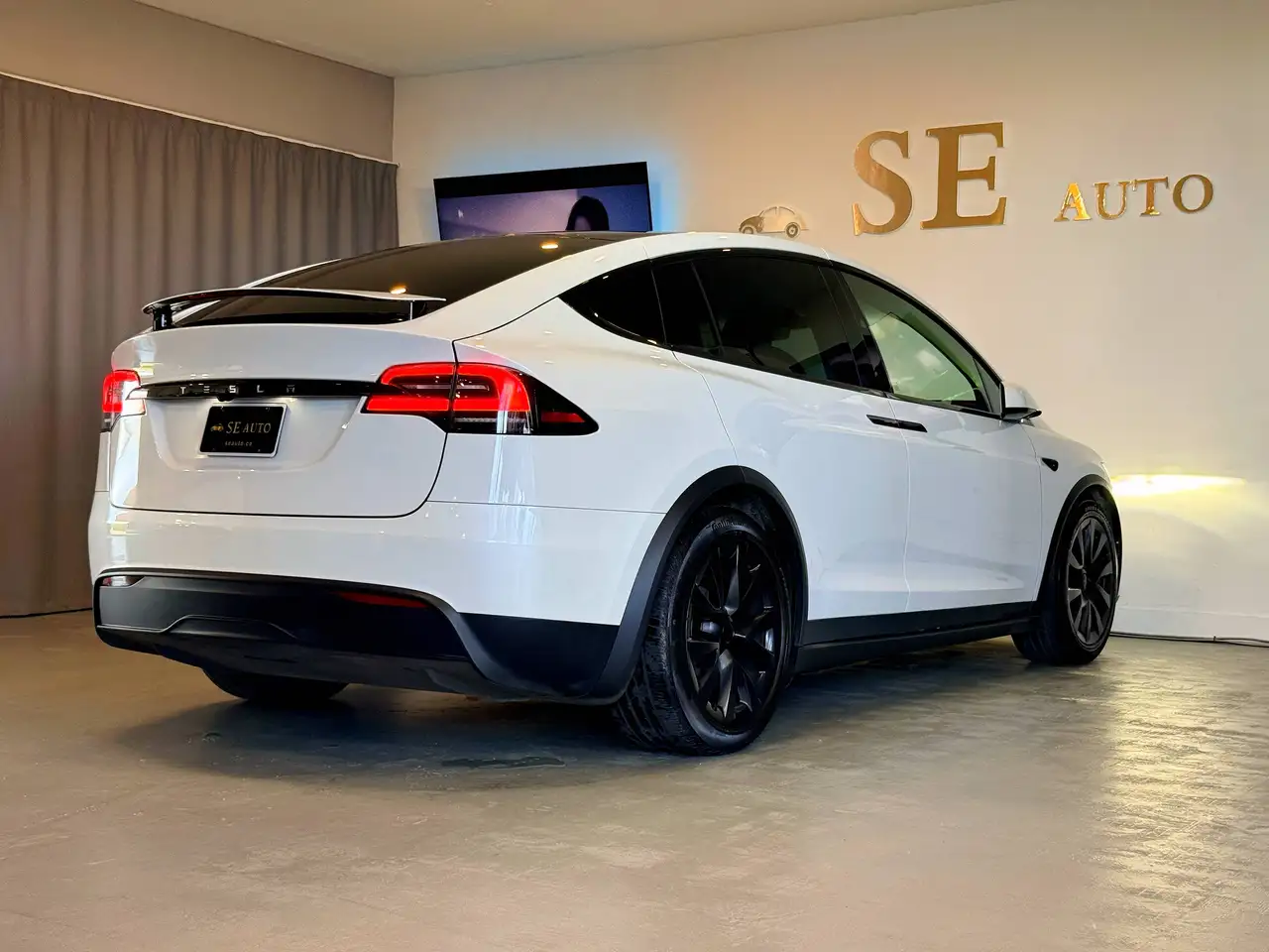 Tesla Model X photo Tesla Model X