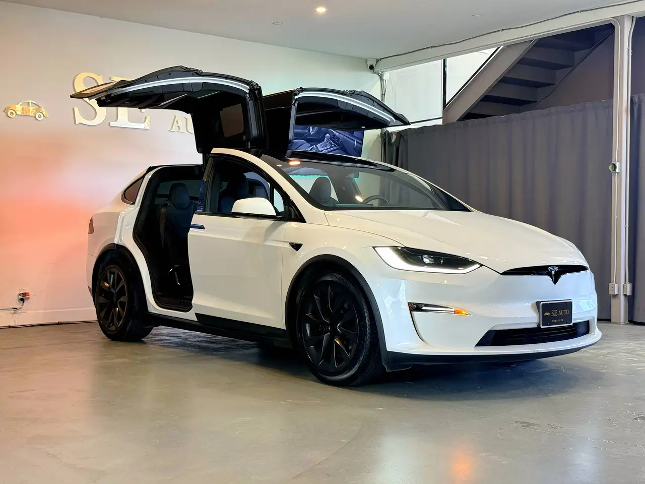 2025 Tesla Model X