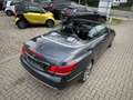 Mercedes-Benz E 350 D Cabrio 1HAND-SPORT-LED-NAVI-H&K-DAB-ALU Grau - thumbnail 20